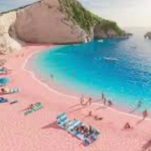 Meet your Posher, NT